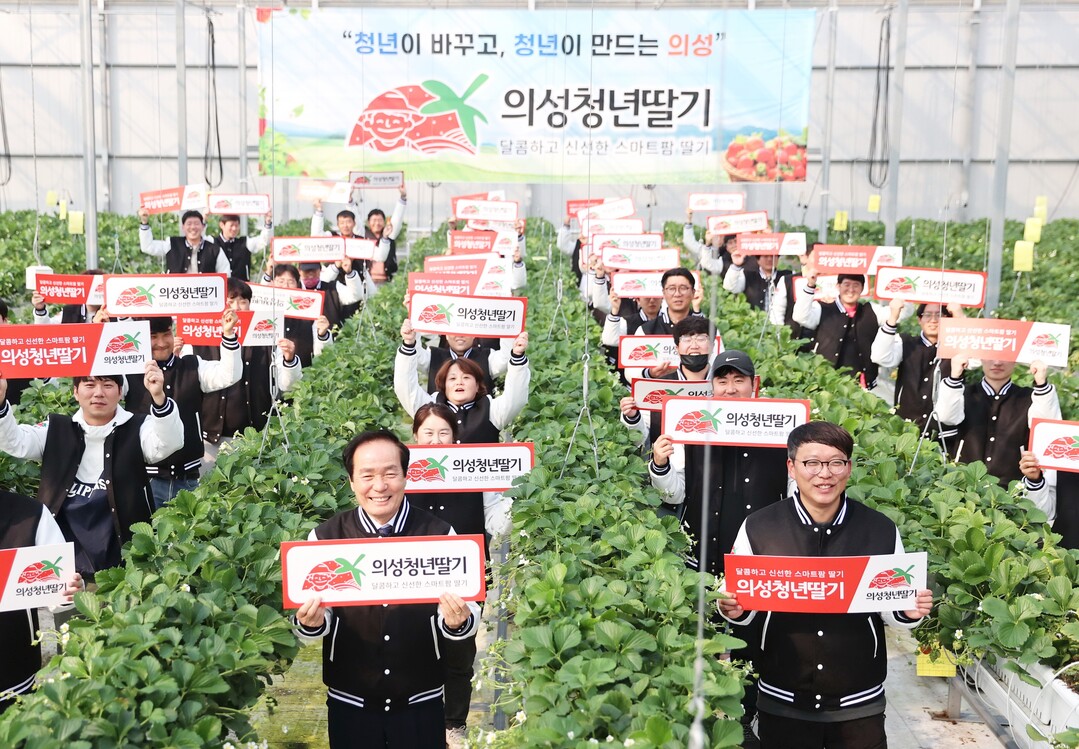 스마트팜딸기. 의성군 제공
