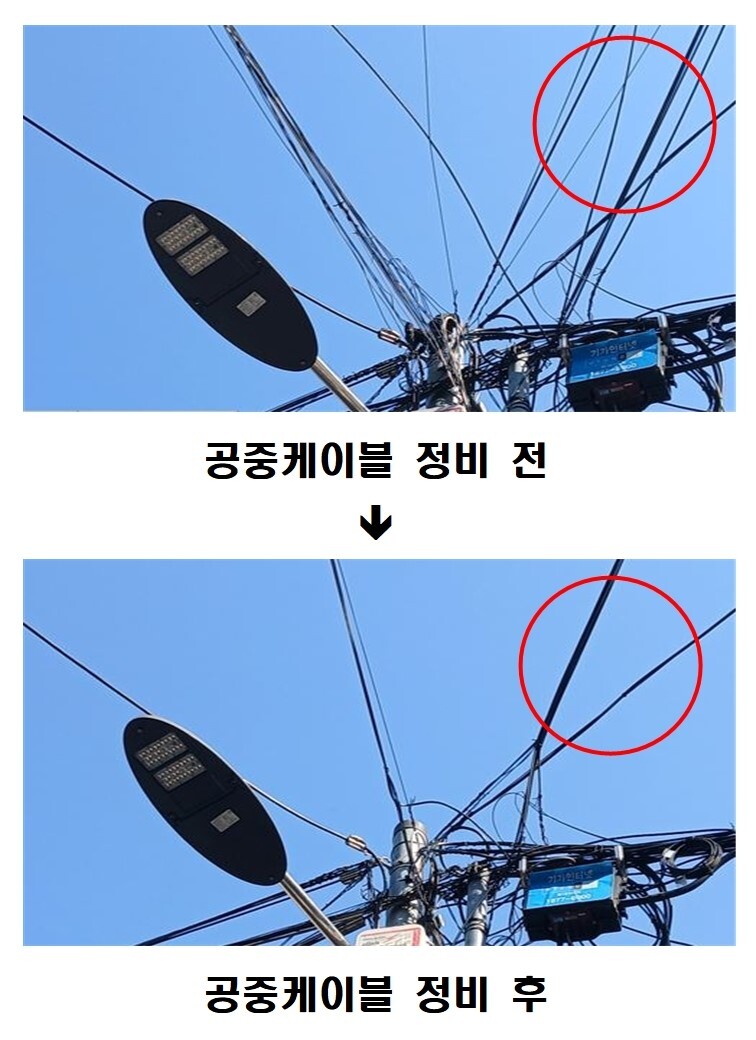 동작구청 사진 제공