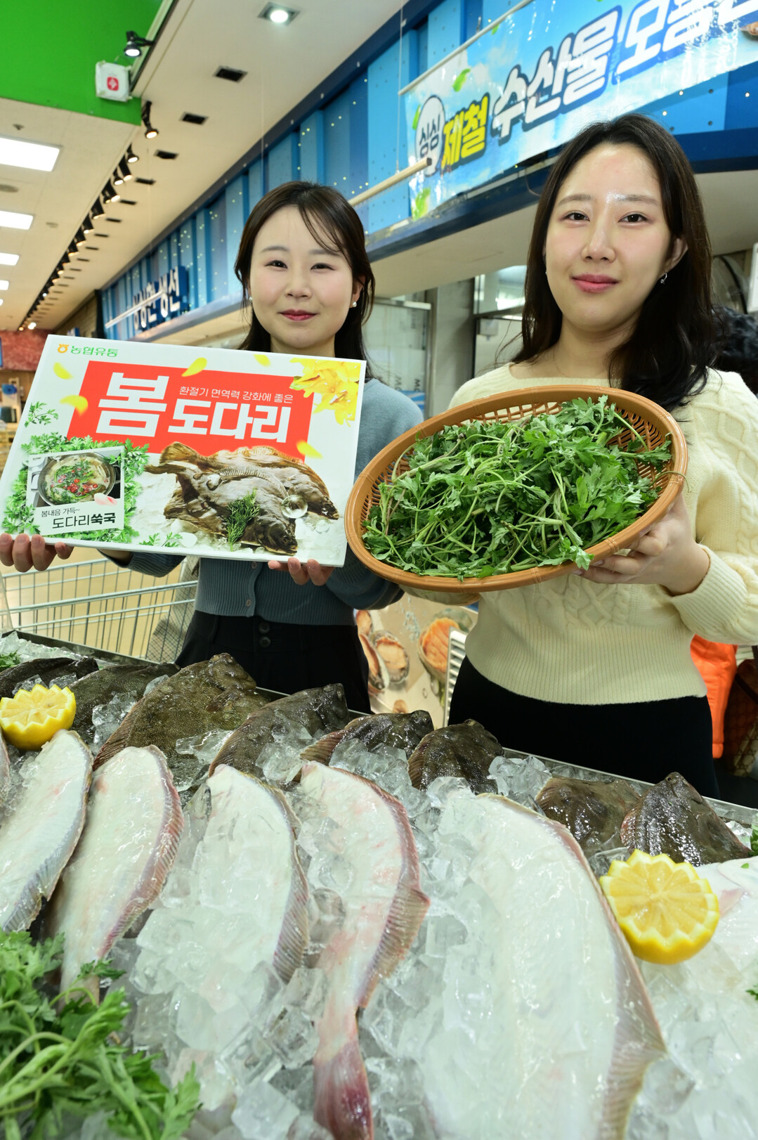 12일 서울 서초구 농협 하나로마트 양재점에서 모델들이 도다리를 선보이고 있다.