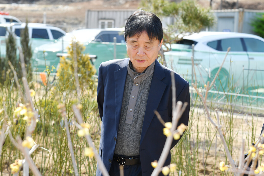 최문순 군수가 화천군 하남면 위라리 나무시장을 둘러보고 있다.