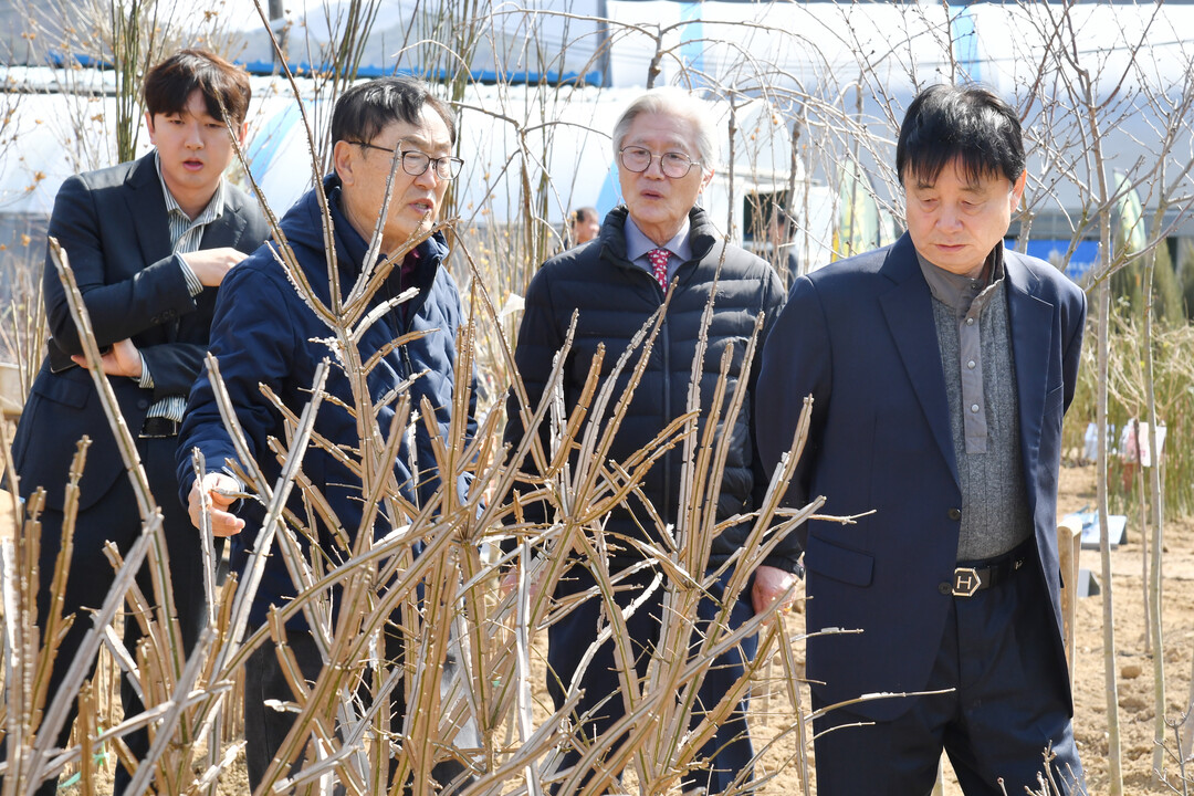 최문순 군수(오른쪽 첫번째)가 화천군 하남면 위라리 나무시장을 둘러보고 있다. 
