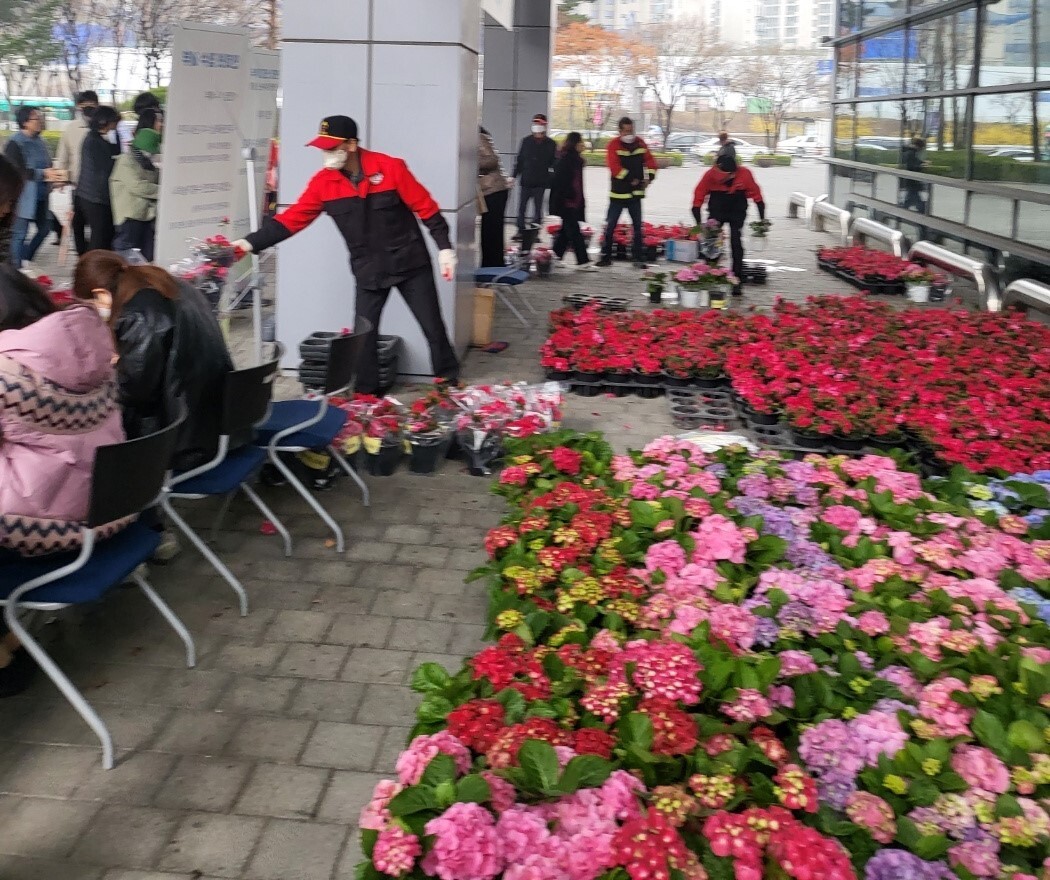 지난해 열린 나무 나누어주기 행사 장면. 용인시 제공