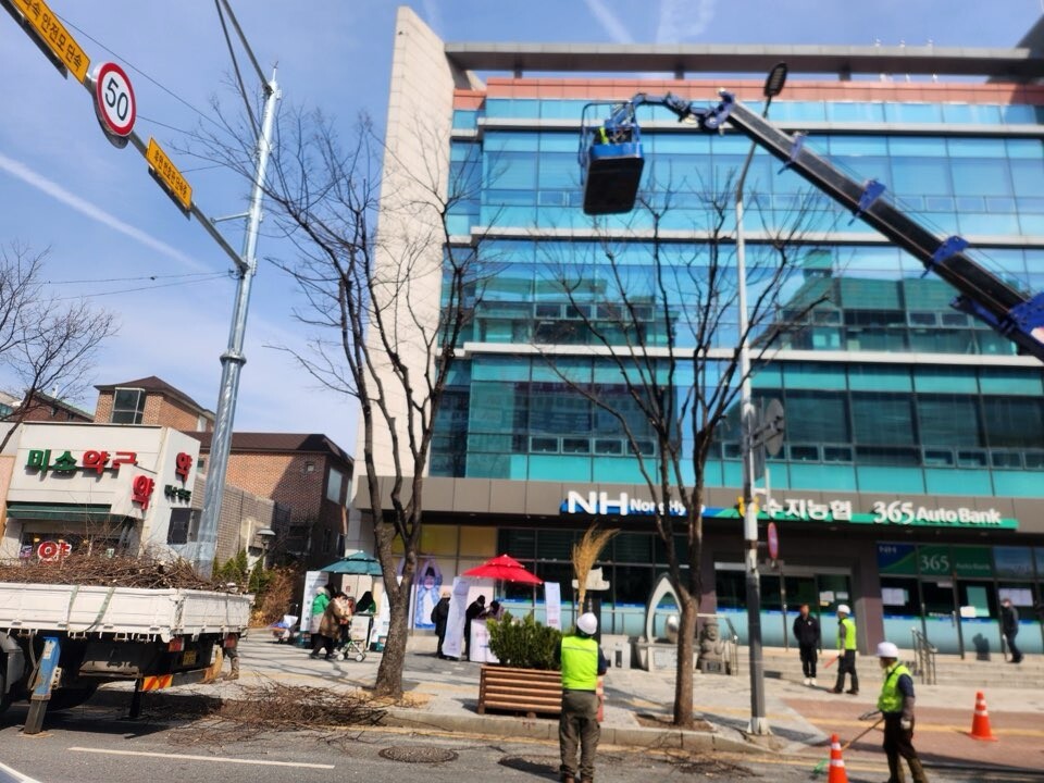 수지구 관계자들이 가로수를 정비하고 있다.용인시 제공