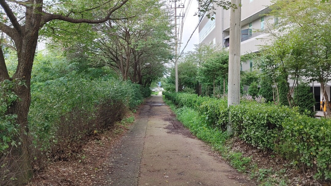 용인특례시가 경안천 제방 일대 환경개선 사업을 시작했다.용인시 제공