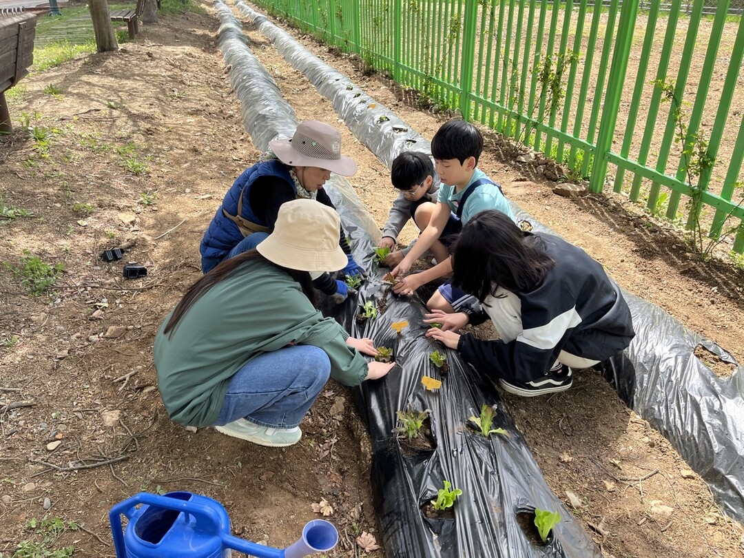 지난해 용인특례시 지역 초등학교에서 진행된 생태텃밭 교육 현장. 용인시 제공