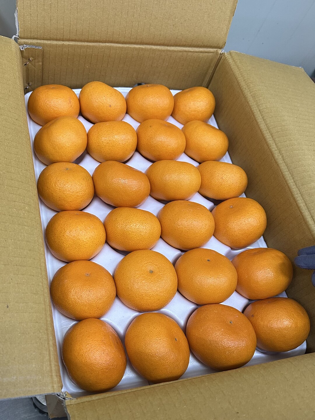 유치원에 지원되는 제철과일. 용인시 제공