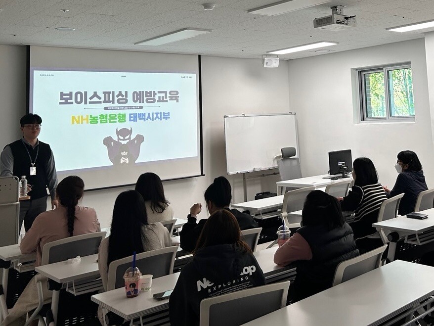 태백시 제공.
