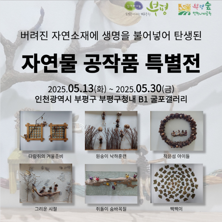 인천시 부평구청 제공