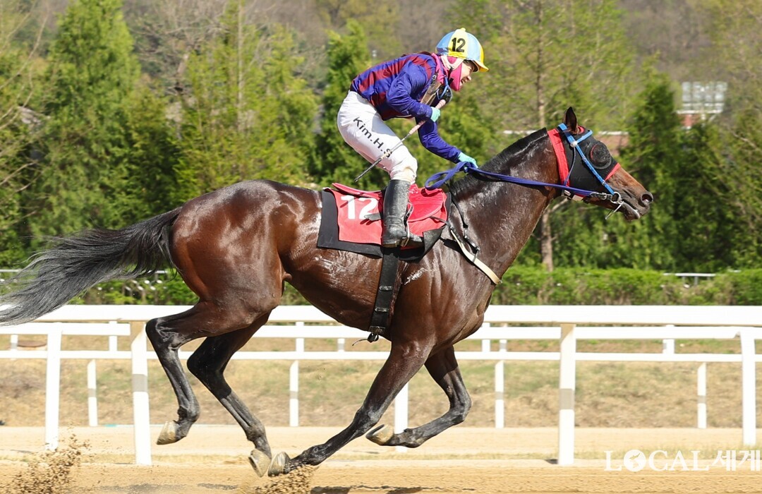 오는 25일 경마대회 부산광역시장배(G2,1800m,총상금 7억원)에 출전하는