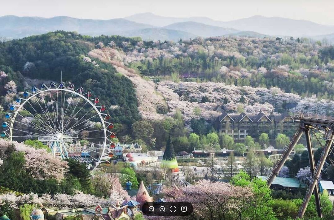 에버랜드 전경. 용인시 제공
