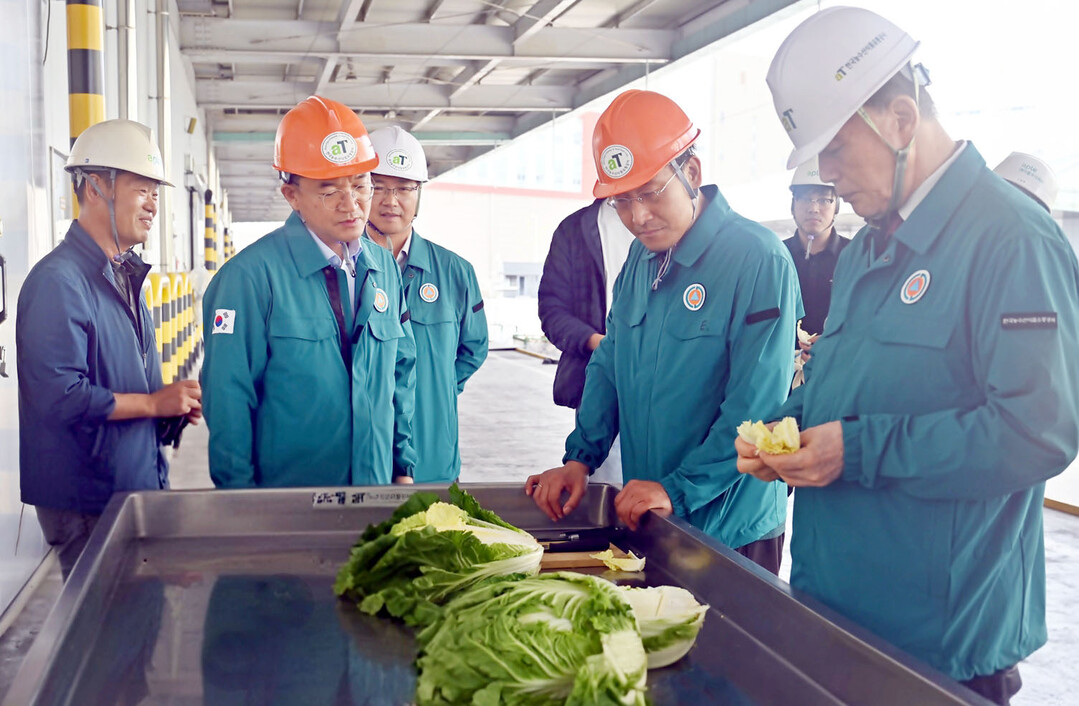 김포 농산물비축기지 배추 품위점검 현장사진. aT 홍문표 사장(오른쪽 1번째)