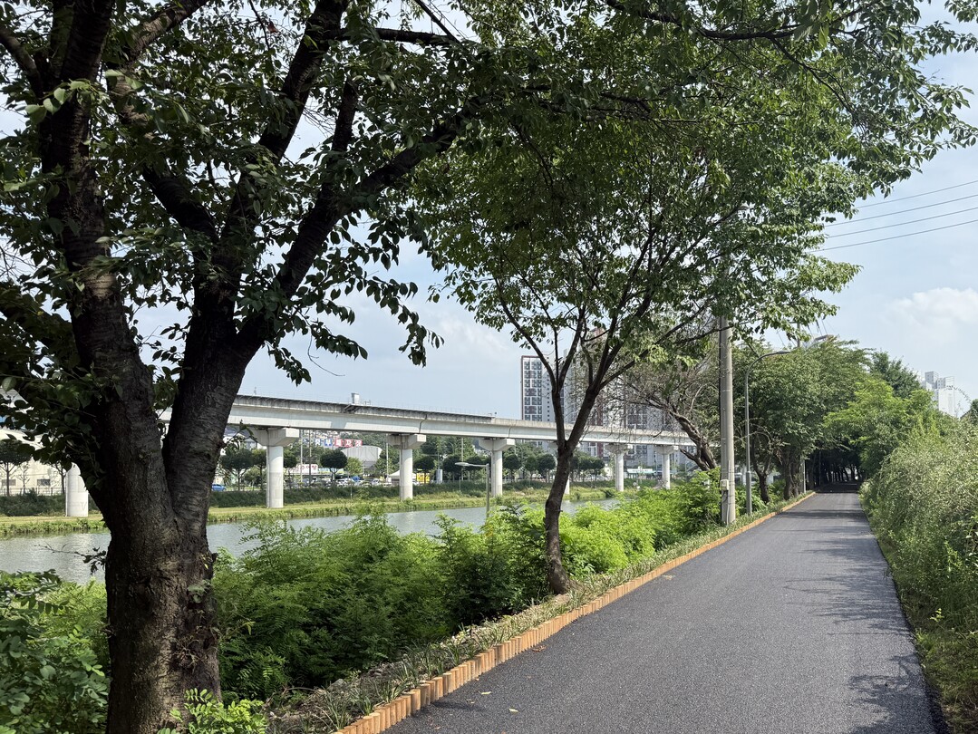 용인시는 유림동 일대 경안천 제방 둑마루 구간을 정비했다. 용인시 제공