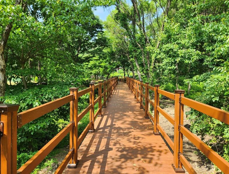 용인자연휴양림 숲속쉼터 무장애 잔책로 설치 모습