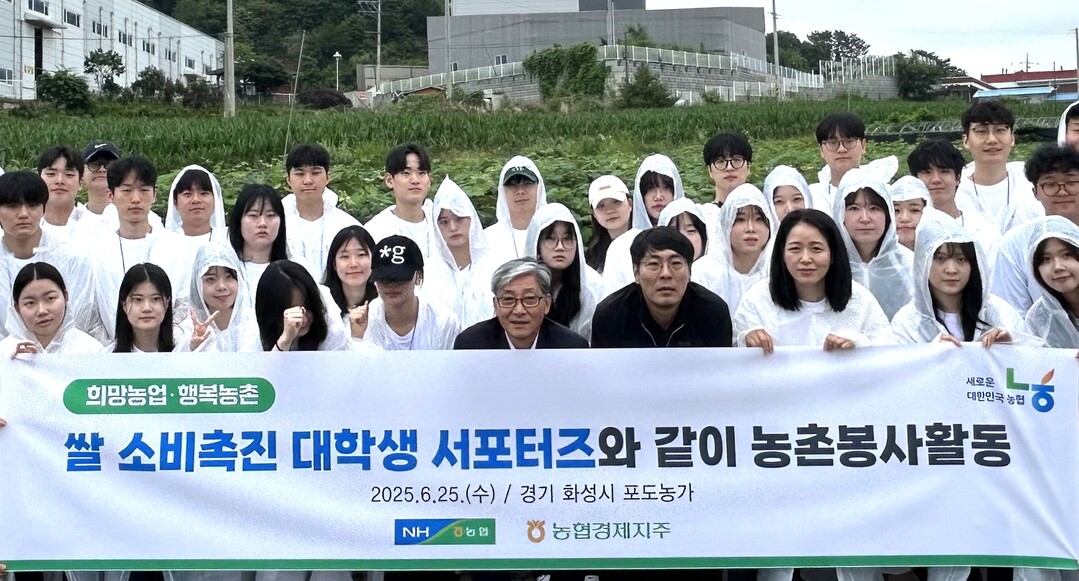 6월 25일 쌀 소비촉진 대학생 서포터즈들은 화성시 포도 농가에서 봉지 씌우기 작업을 했다. 농협 제공