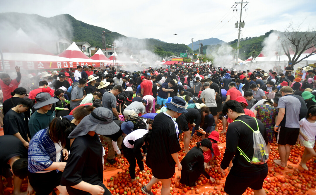 2일 사내면 사창리에서 열리고 있는 2025 화천토마토축제장에서 