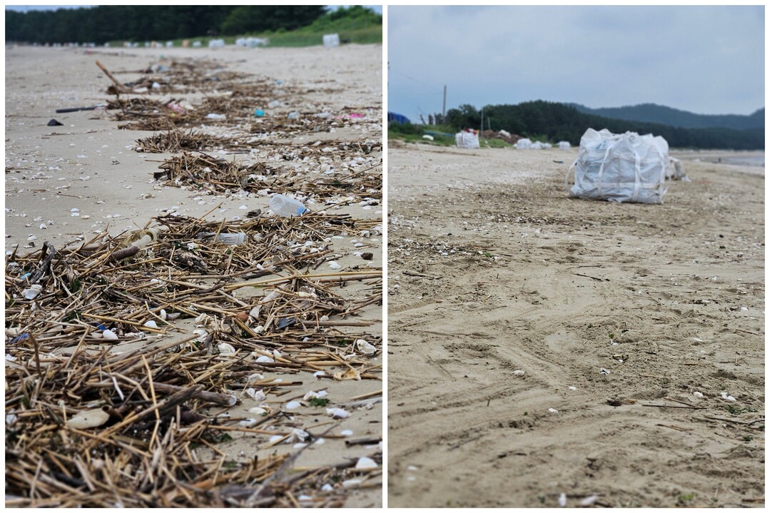 정화활동 전(왼쪽)과 후(오른쪽) 서천군 서면 해안가의 모습. 자원봉사자들의 해양 플로깅 활동을 통해 약 50톤백 분량의 쓰레기가 수거됐다.