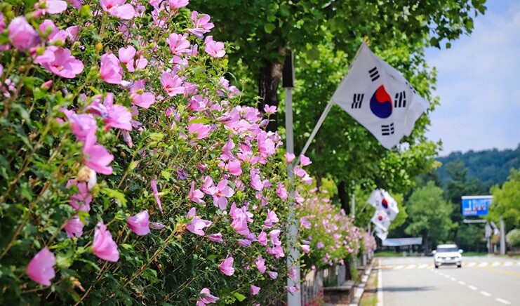 국립대전현충원 무궁화길. 대전시 제공