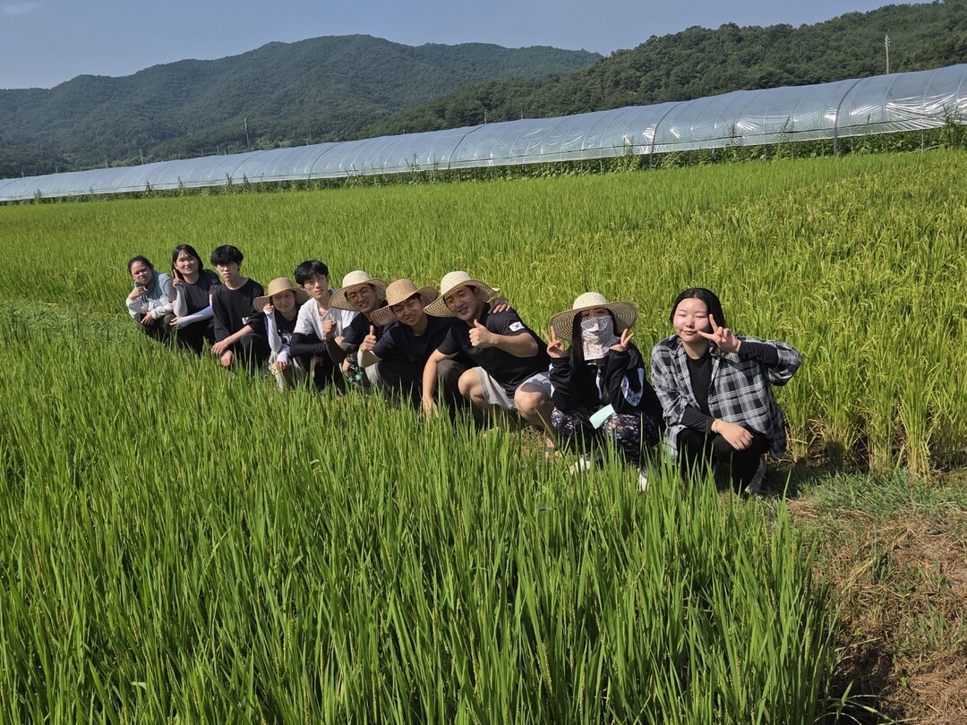 친환경농업 프로그램. 의성군 제공