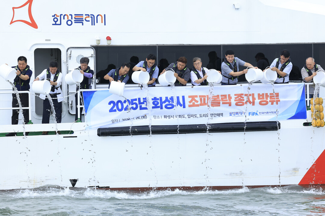 화성특례시 관계자 등이 26일 국화도 인근 바다에 조피볼락 종자를 방류하고 있다. 화성시 제공