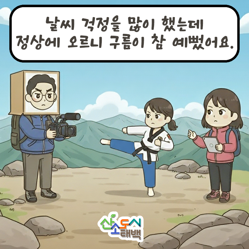 태백시 ‘AI 인스타툰’ 정기 연재. 태백시 제공