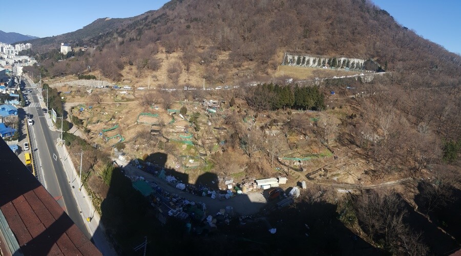 황령산 생태숲 도시숲(조성 전 )