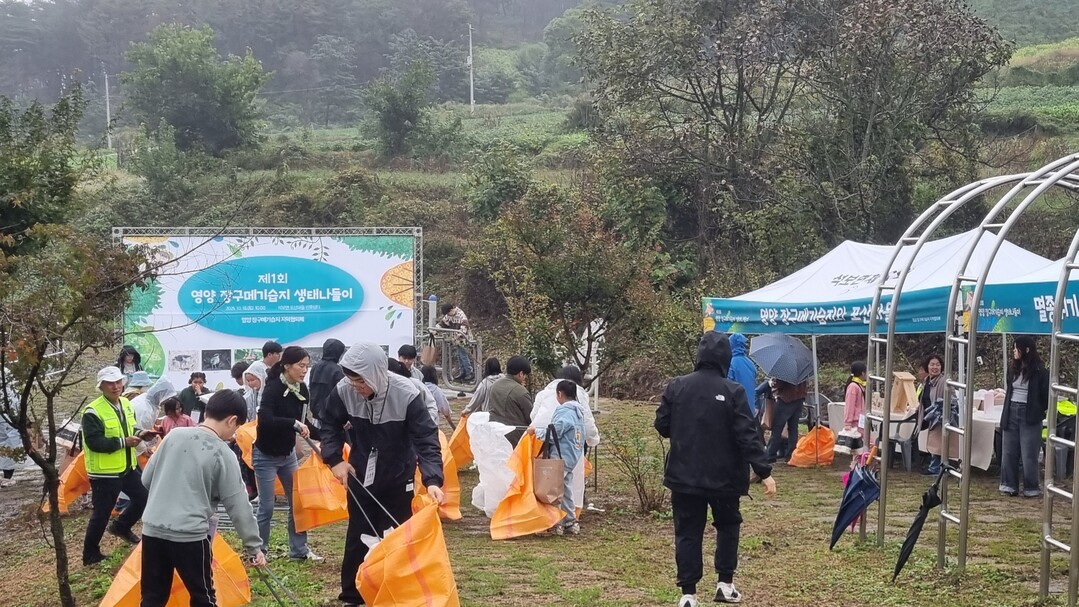 사진=영양군청 제공