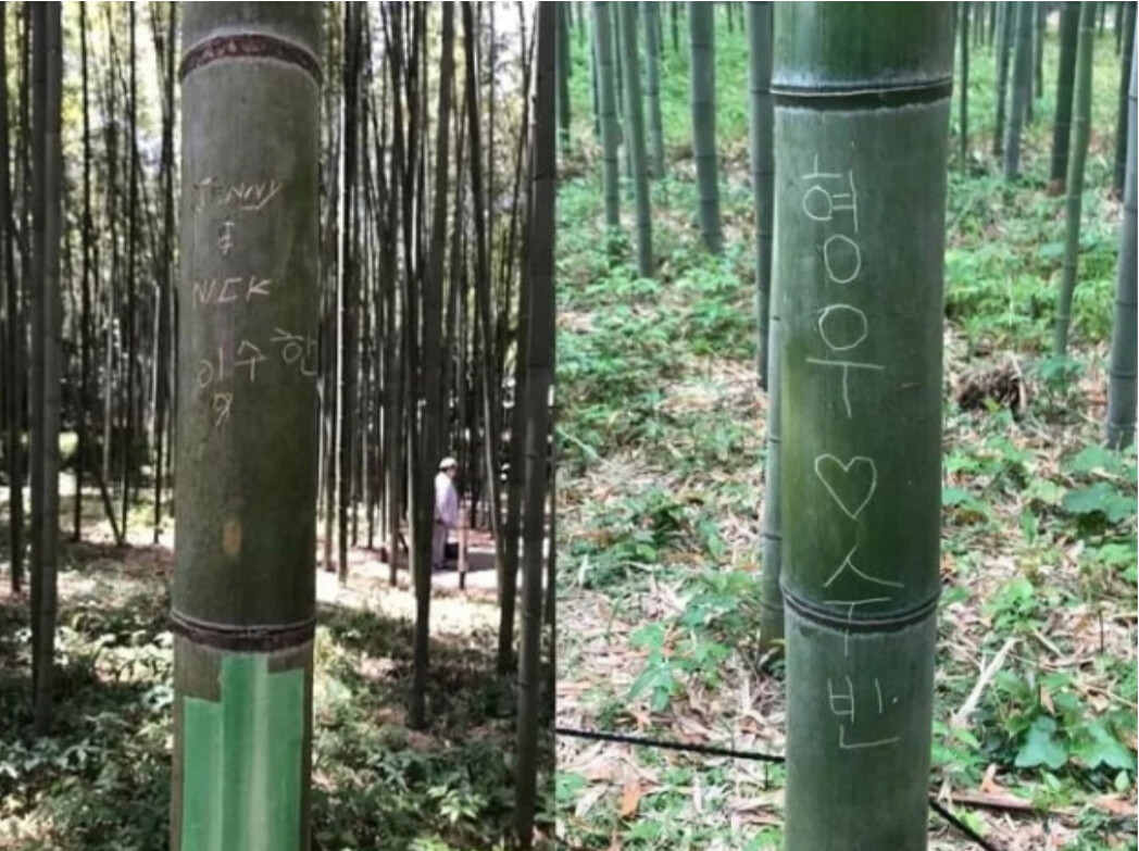 최근 일본 교토의 유명 명소인 아라시야마 대나무 숲길에서도 다수의 한글 낙서가 발견된 장면 (출처 : SNS)
