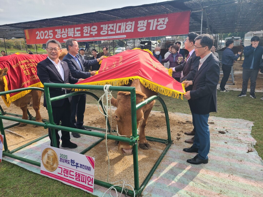 한우경진대회 수상사진.의성군 제공