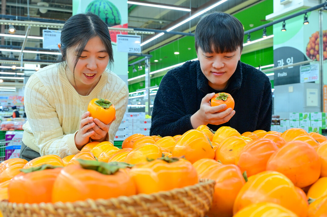 11월 3일 서울 서초구 하나로마트 양재점에 올해 처음 판매하는 대봉시가 진열되어 있다. 