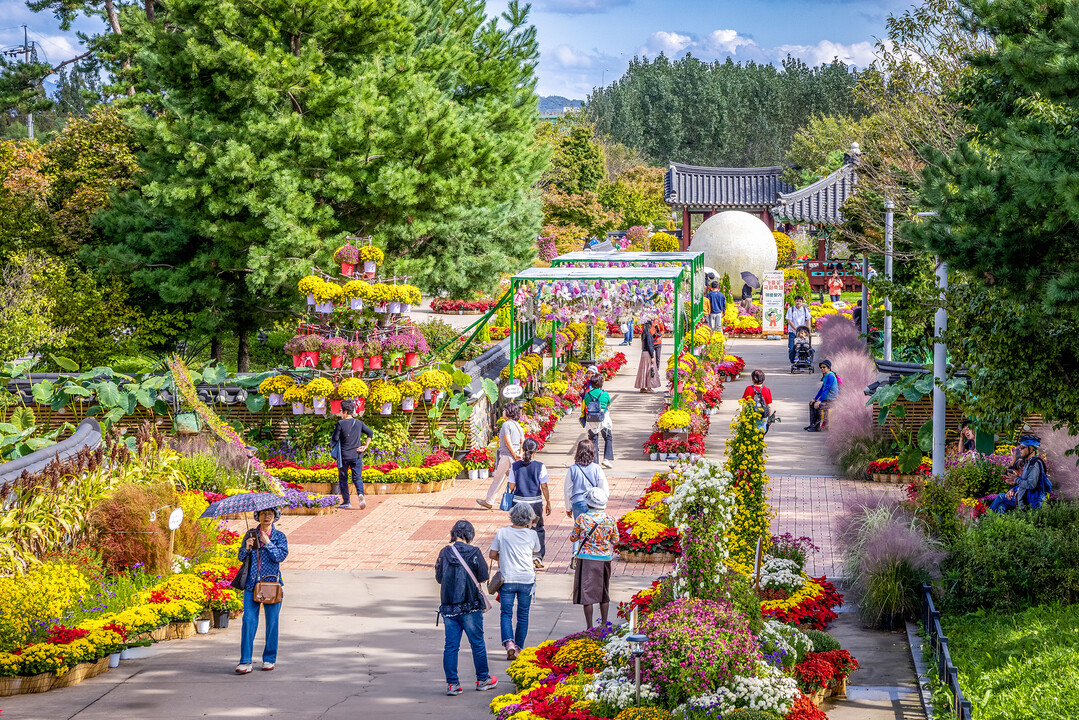 인천시 계양구청 제공