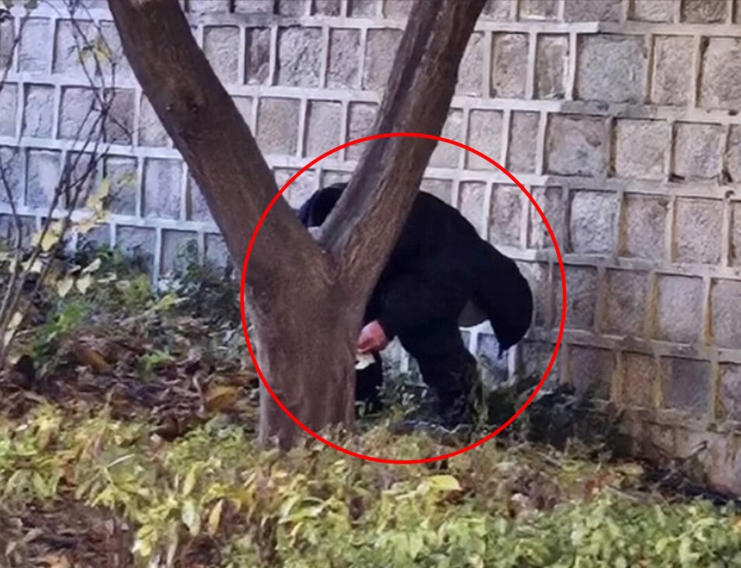  사진 출처 : SNS 캡쳐 화면