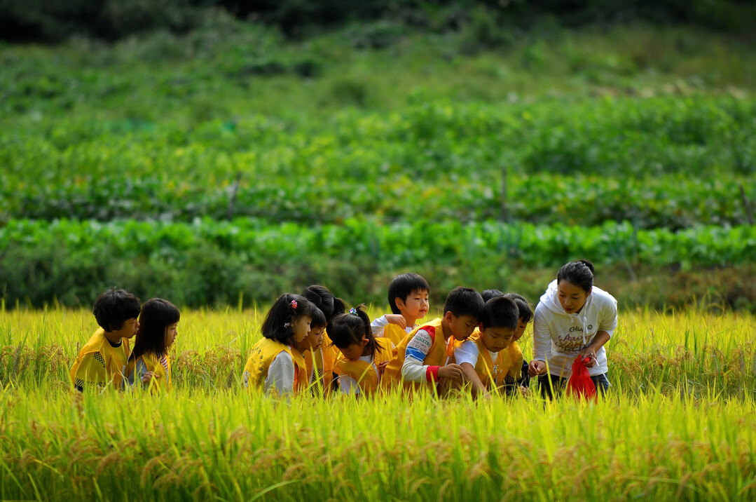 농협은 농업가치 국민공감 캠페인인 농심천심운동의 일환으로 전국 지자체와 협력해 도시와 농촌을 잇는「농촌여행 新사업」을 본격 추진한다. 농협 제공