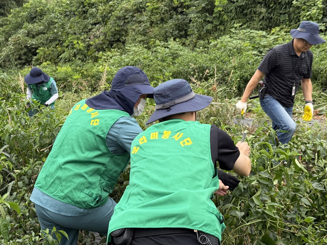 농협중앙회는 최근 법무부 교정본부와 협력해 “보라미봉사단 영농인력 활용” 사업을 새롭게 추진하고 있다. 농협 제공