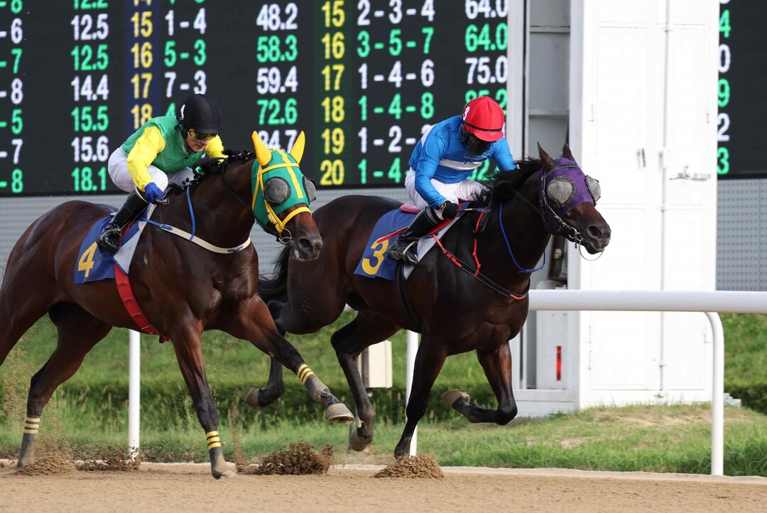 부산광역시 강서구청장배 우승마 와일드파크(앞쪽 3번마)와 서승운 기수