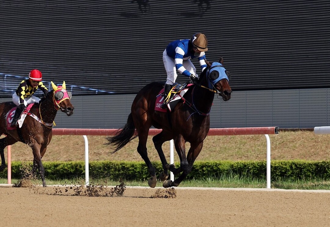코리안오크스 우승마 판타스틱밸류와 서승운 기수