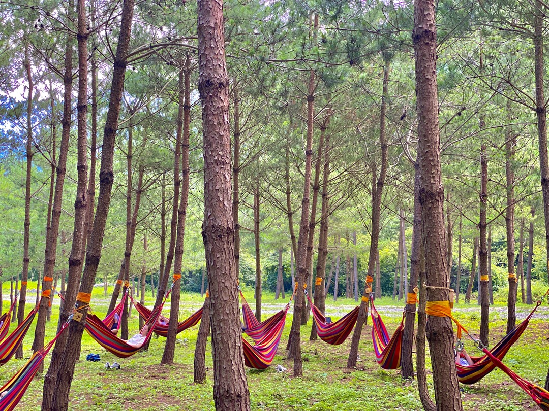 강원랜드산림힐링재단, 아동·청소년 치...