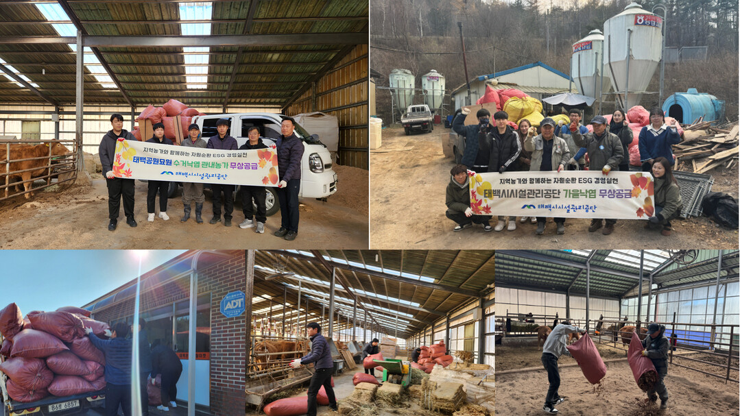 태백시시설관리공단 폐낙엽 200포 지역 농가에 기부. 태백시 제공