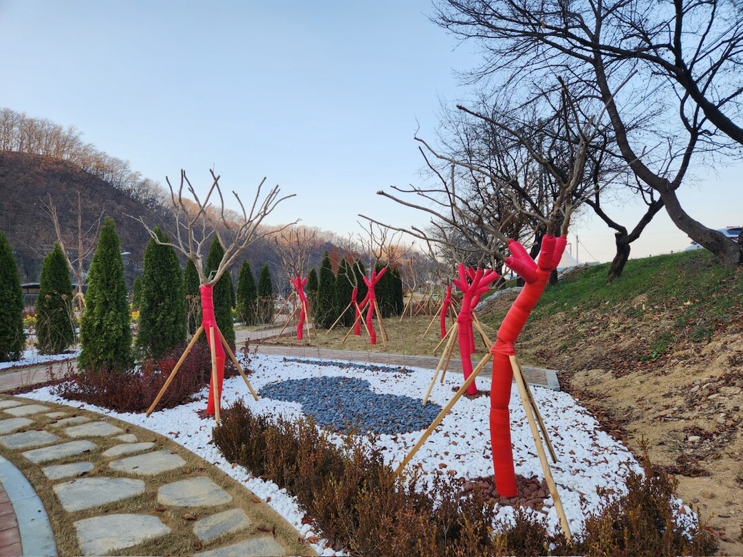 가로수 수목 보호대. 의성군 제공