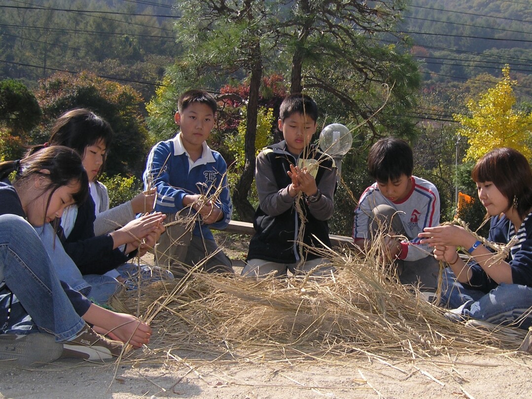 농협중앙회는 현재 전북 등 일부 지역에서 시도교육청(교육지청), 지자체, 지역사회와 함께 학교 내 유휴시설을 이용하여 스쿨팜을 운영하고 있다. 농협 제공
