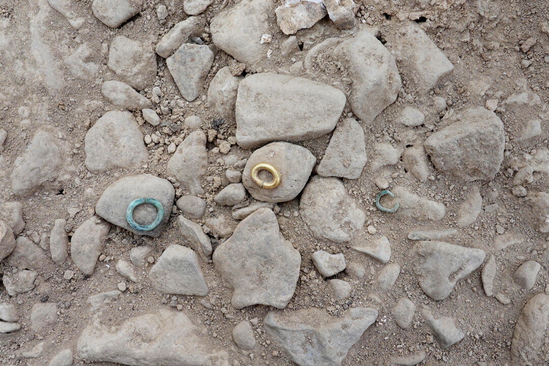 경북 청송 양숙리 고분 발굴조사 오늘...