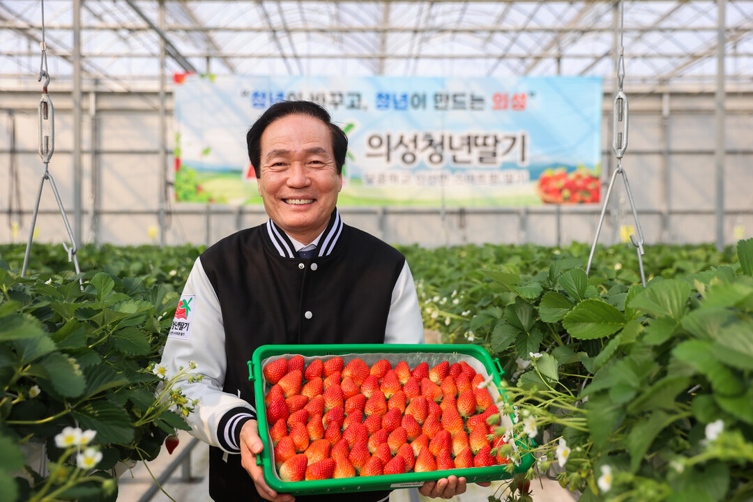 스마트팜 청년딸기. 의성군 제공