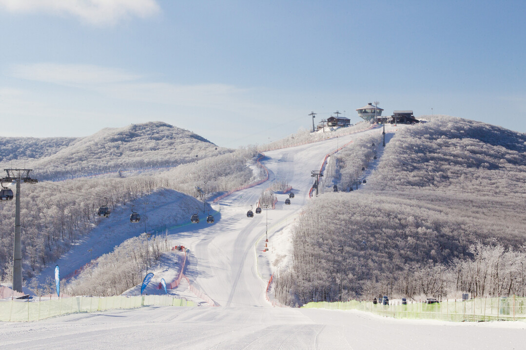 하이원리조트 스키장 전경. 강원랜드 제공