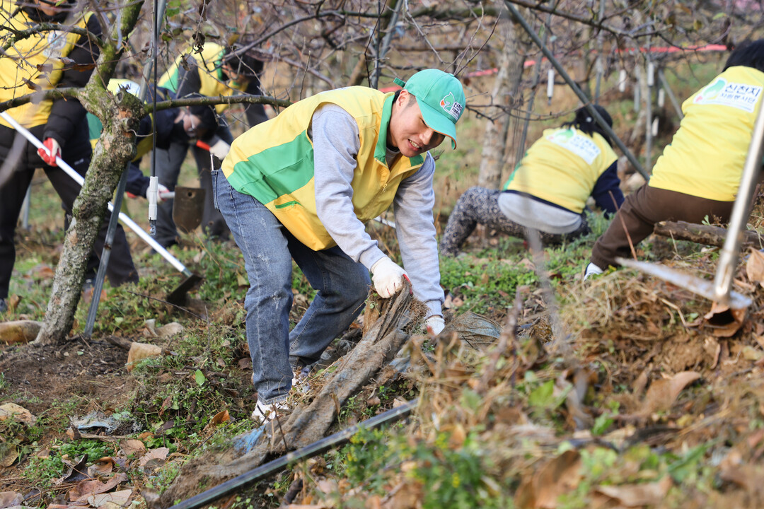 1일 신천지자원봉사단 대구경북연합회, 부산경남서부지역연합회, 부산경남동부지역연합회가 공동으로 청도군 풍각면 일대 과수원과 밭에서 영농폐기물을 수거하고 있다.  신천지자원봉사단 제공