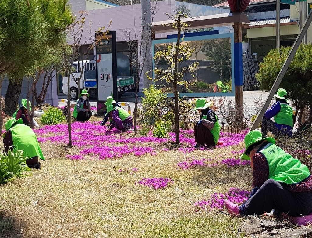 노인일자리사업 활동 사진. 의성군 제공