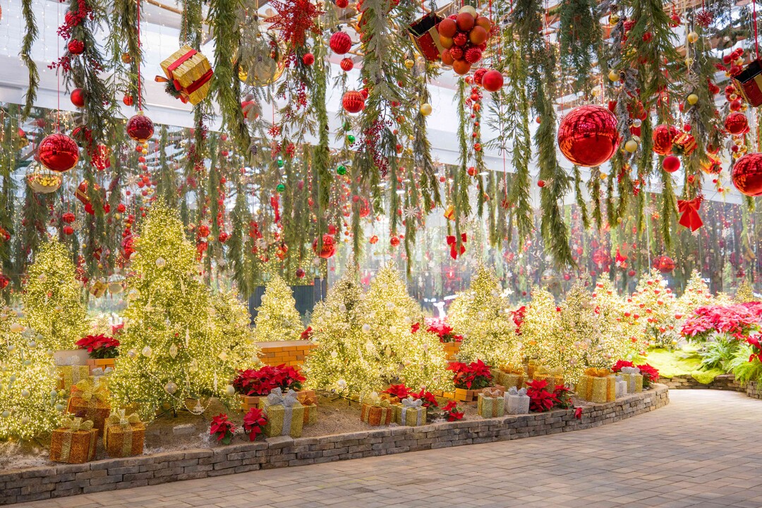 겨울컨셉으로 꾸민 가평베고니아새정원