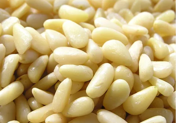 잣-나무위키 캡처