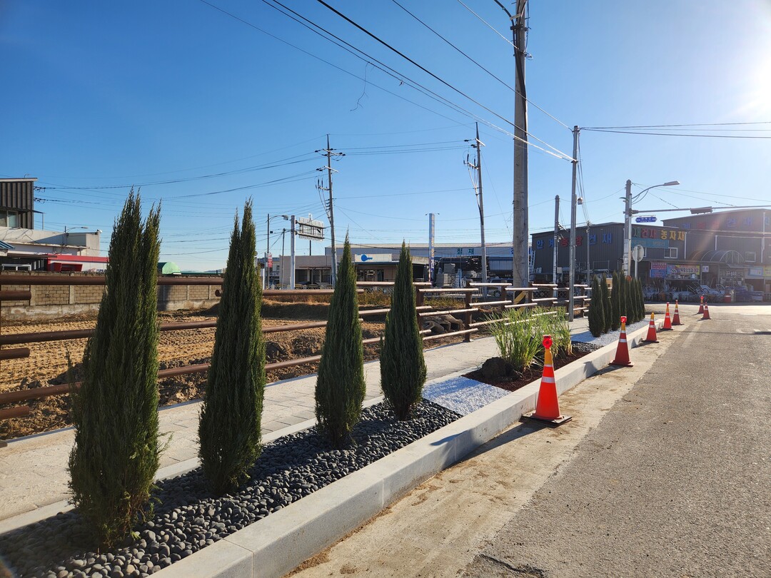 가로수 정비. 의성군 제공