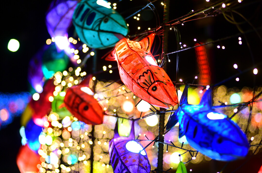 지난해 12월 열린 화천산천어축제 선등거리 점등식