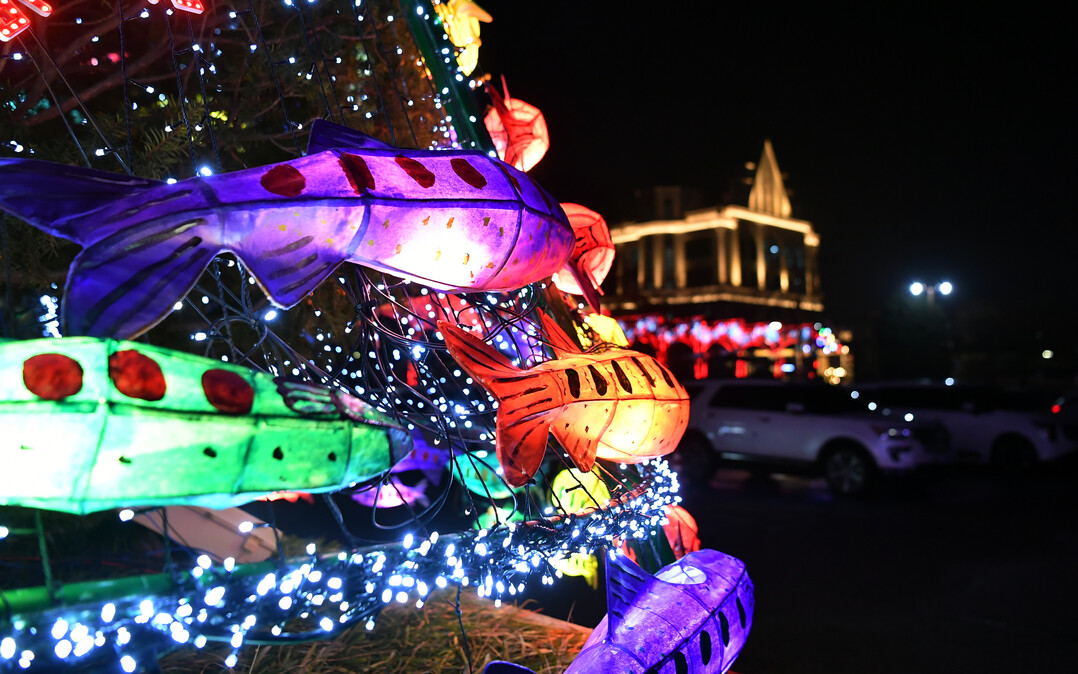  화천군청 청사 앞을 밝히고 있는 산천어등 뒤로 국내 최초 지자체 주도 온종일 돌봄시설인 화천커뮤니티센터가 화려한 조명을 밝히고 있다.