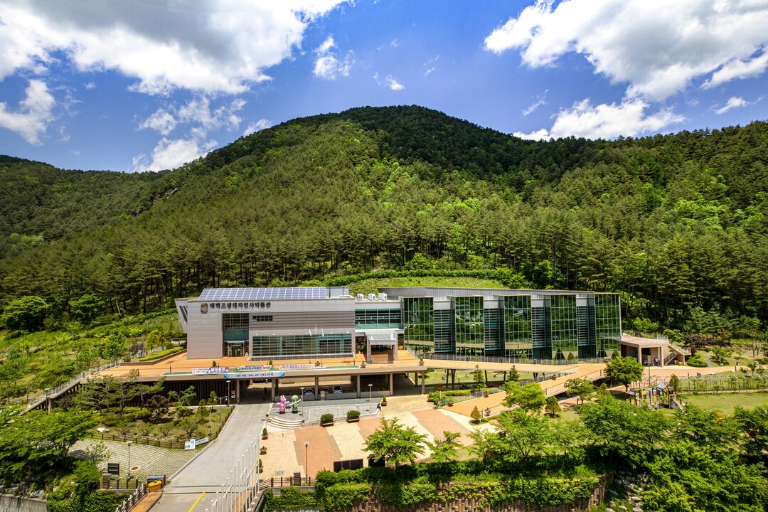 크리스마스, 태백고생대자연사박물관에서 만나는 특별한 하루. 태백시 제공